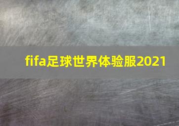 fifa足球世界体验服2021