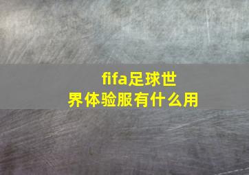 fifa足球世界体验服有什么用