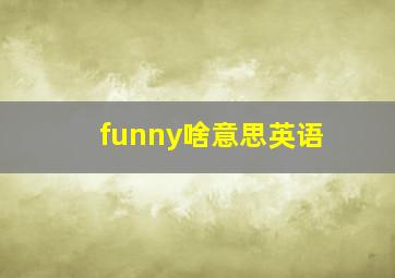 funny啥意思英语