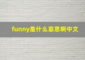 funny是什么意思啊中文