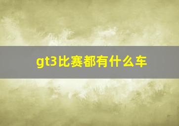 gt3比赛都有什么车