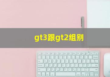 gt3跟gt2组别