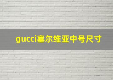 gucci塞尔维亚中号尺寸