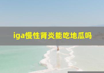 iga慢性肾炎能吃地瓜吗