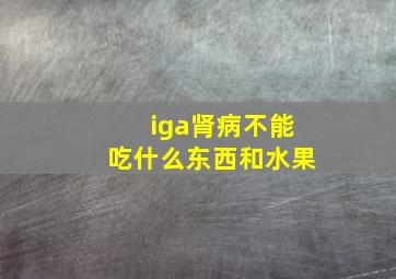 iga肾病不能吃什么东西和水果