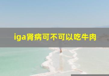 iga肾病可不可以吃牛肉