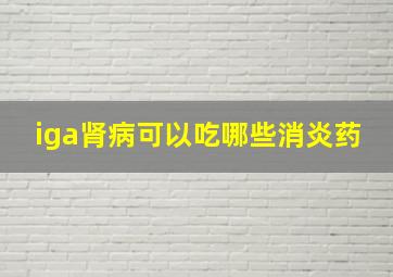 iga肾病可以吃哪些消炎药