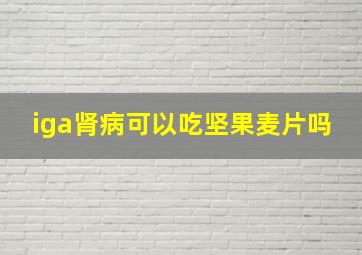 iga肾病可以吃坚果麦片吗