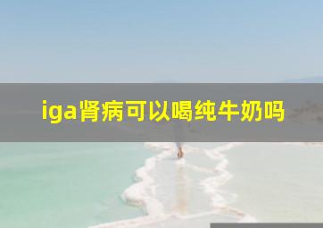 iga肾病可以喝纯牛奶吗