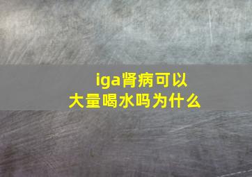 iga肾病可以大量喝水吗为什么