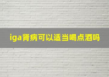 iga肾病可以适当喝点酒吗