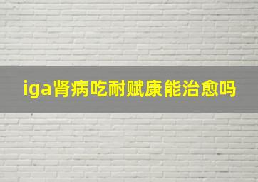 iga肾病吃耐赋康能治愈吗