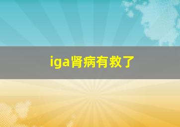 iga肾病有救了