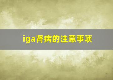 iga肾病的注意事项