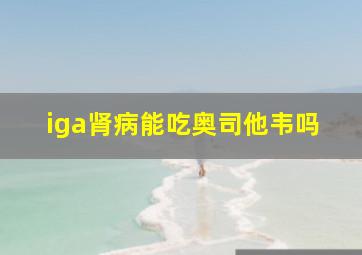 iga肾病能吃奥司他韦吗