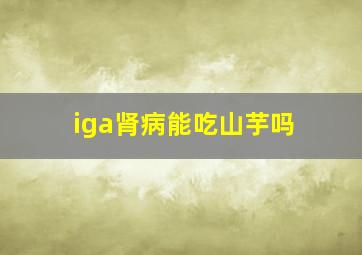 iga肾病能吃山芋吗