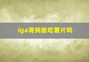 iga肾病能吃薯片吗