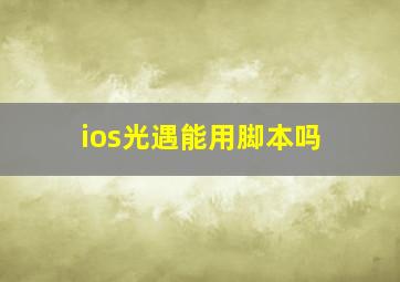 ios光遇能用脚本吗