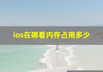 ios在哪看内存占用多少