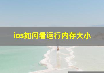 ios如何看运行内存大小