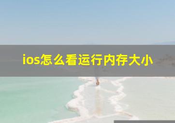 ios怎么看运行内存大小