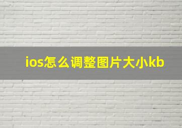 ios怎么调整图片大小kb