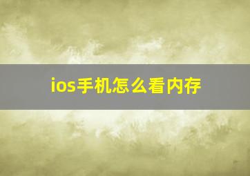 ios手机怎么看内存