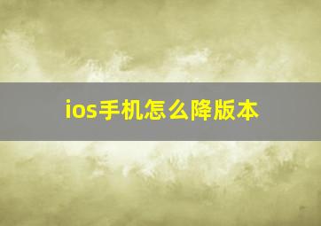 ios手机怎么降版本