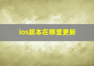 ios版本在哪里更新