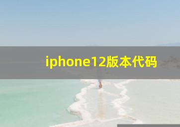 iphone12版本代码