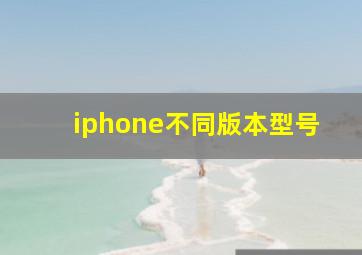 iphone不同版本型号