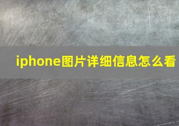 iphone图片详细信息怎么看