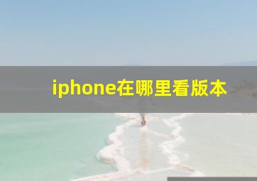 iphone在哪里看版本