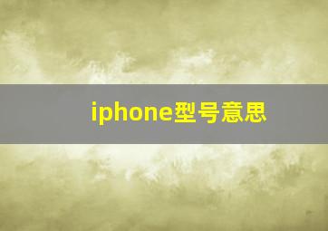 iphone型号意思