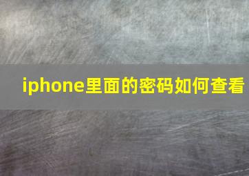 iphone里面的密码如何查看