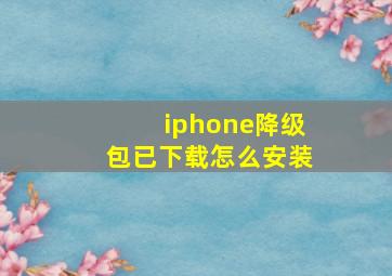 iphone降级包已下载怎么安装