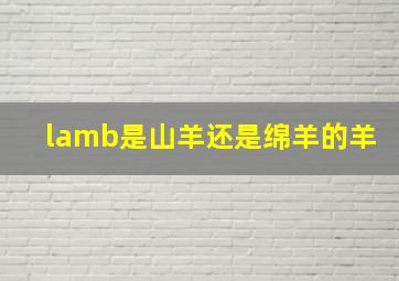 lamb是山羊还是绵羊的羊