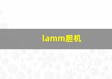 lamm胆机