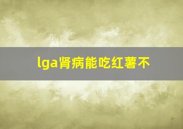 lga肾病能吃红薯不