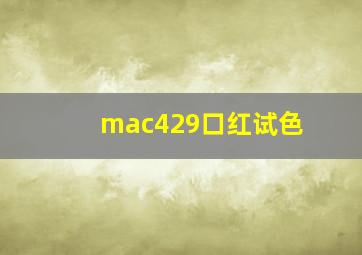 mac429口红试色