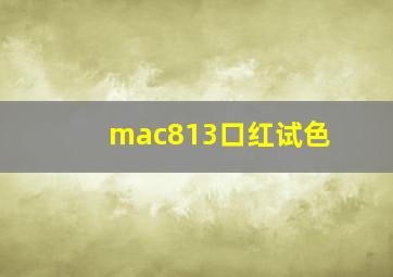 mac813口红试色