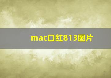 mac口红813图片