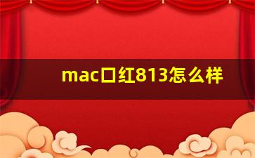 mac口红813怎么样