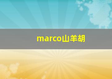 marco山羊胡