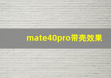 mate40pro带壳效果