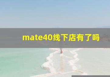 mate40线下店有了吗