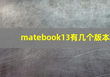 matebook13有几个版本