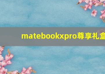 matebookxpro尊享礼盒