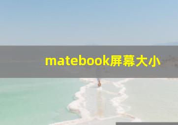 matebook屏幕大小