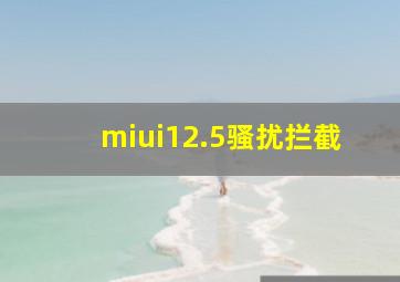 miui12.5骚扰拦截